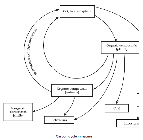 CBSE Class 9 Biology Natural Resources Notes_3