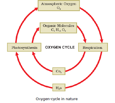 CBSE Class 9 Biology Natural Resources Notes_4