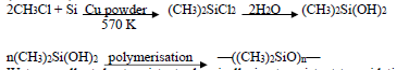 CBSE Class 9 Chemistry-P-Block Elements