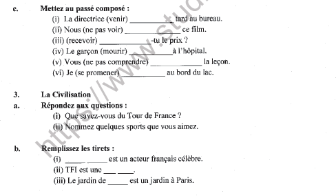 CBSE Class 9 French Worksheet Set G Solved 3