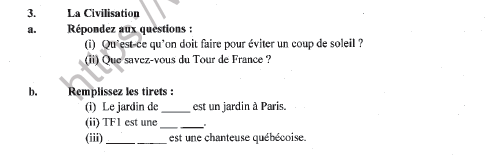 CBSE Class 9 French Worksheet Set H Solved 3