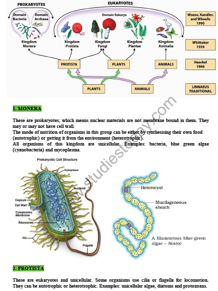 CBSE Class 9 Science Diversity in Living Organisms Notes