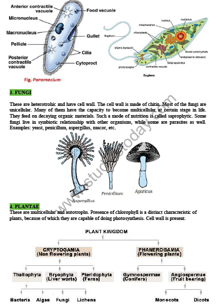 CBSE Class 9 Science Diversity in Living Organisms Notes