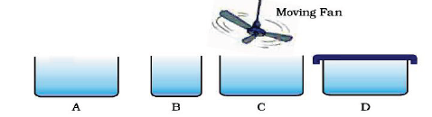 CBSE Class 9 Science Matter in our sorroundinds Sure Shot Questions C (1)