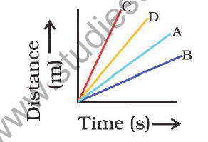 CBSE Class 9 Science Motion Sure Shot Questions