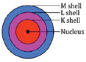 Q4. What do you think would be the observation if the α-particle scattering experiment is carried out using a foil of a metal other than gold?