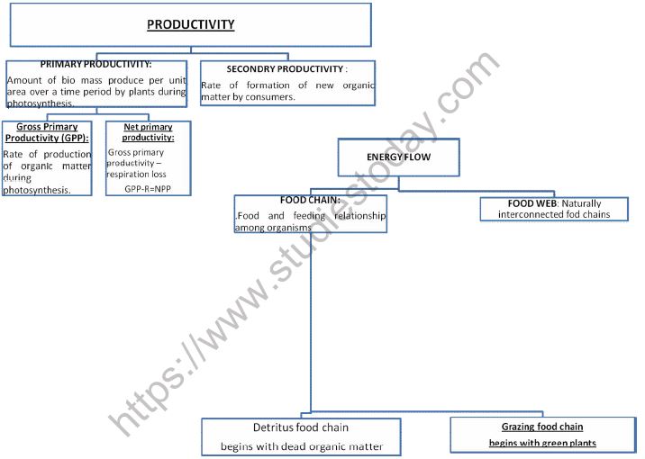 CBSE-Class-12-Biology-Ecosystem-Mind-Map