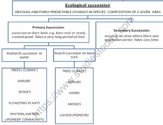 CBSE-Class-12-Biology-Ecosystem-Mind-Map