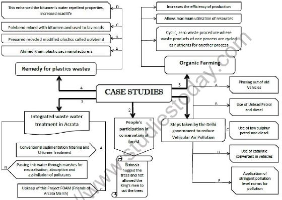 CBSE-Class-12-Biology-Environmental-Issues-Mind-Map