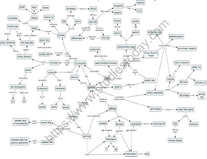 CBSE-Class-12-Biology-Environmental-Issues-Mind-Map