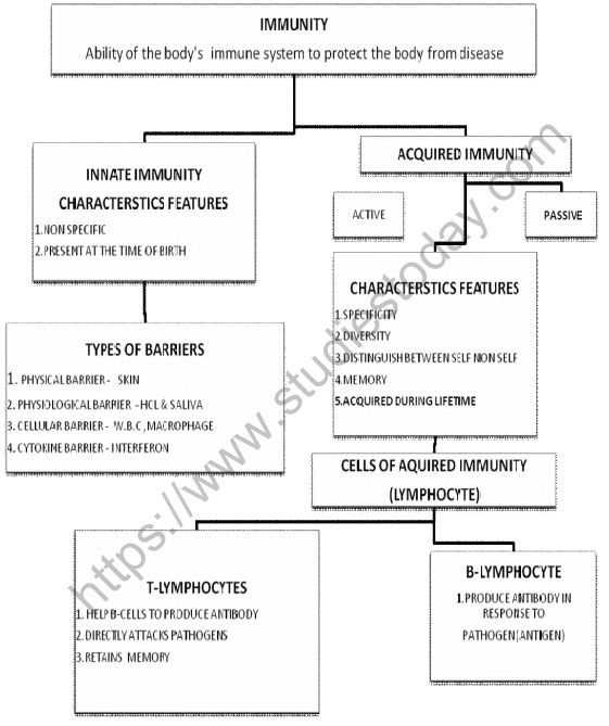 CBSE-Class-12-Biology-Human-Health-and-Disease-Mind-Map