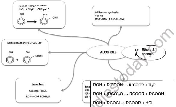 CBSE-Class-12-Chemistry-Alcohols-Phenols-and-Ethers-Board-Exam-Notes_0