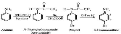 CBSE-Class-12-Chemistry-Amines-Board-Exam-Notes