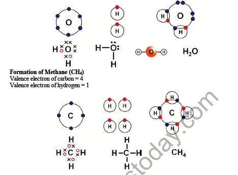 CBSE Class 10 Science Carbon and its compound Notes