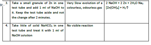 CBSE Class 10 Chemical Study Chemical Properties of HCl Acid And NaoH Worksheet Set B 3