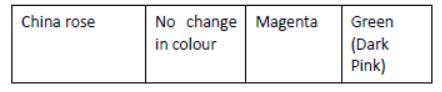 Class 7 Science Acid Base and Salts Exam Notes