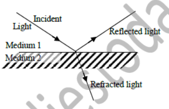 Class 7 Science Light Exam Notes