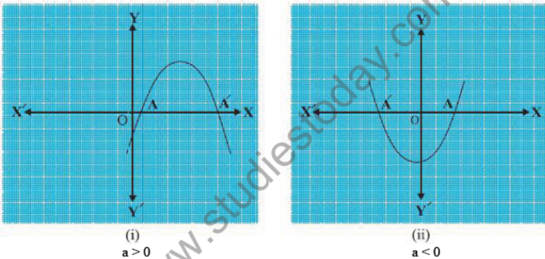 CBSE Class 10 Polynomials Important Formulas and concepts for exams