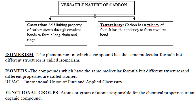 CBSE Class 10 Science Carbon And Its Compounds