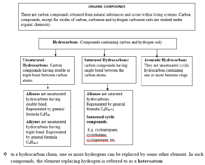 CBSE Class 10 Science Carbon And Its Compounds