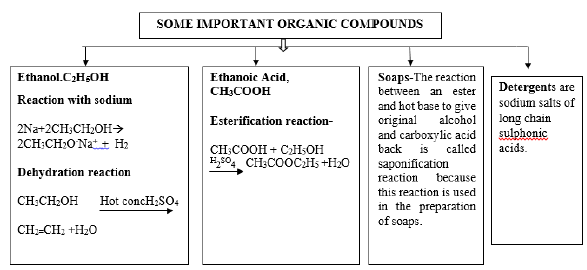 CBSE Class 10 Science Carbon And Its Compounds