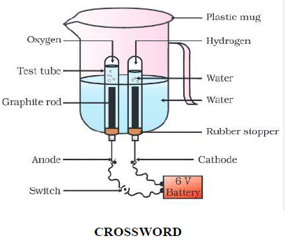 CBSE Class 10 Science Chemical Reactions And Equations