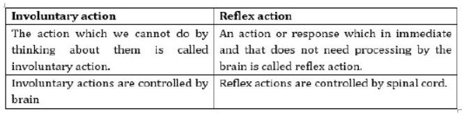CBSE Class 10 Science HOTs Question Control And Coordination Set B