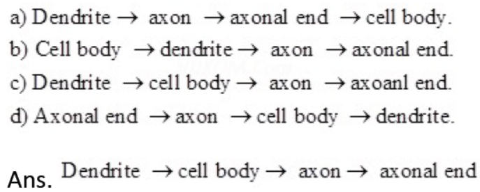 CBSE Class 10 Science HOTs Question Control And Coordination Set D