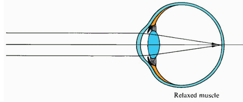 CBSE Class 10 Science Human eye and colourful world Notes