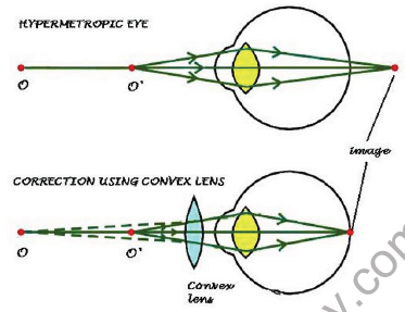 CBSE Class 10 Science Human eye and colourful world Notes