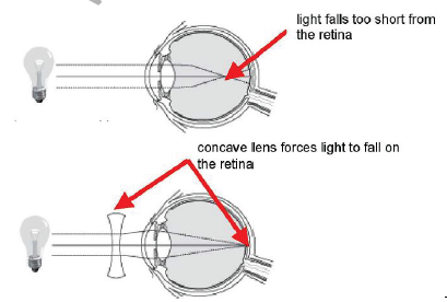 CBSE Class 10 Science Human eye and colourful world Notes