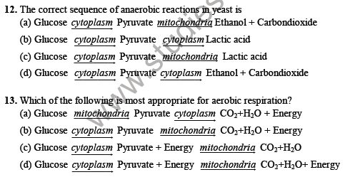 CBSE Class 10 Science Life processes Sure Shot Questions C