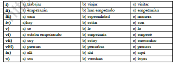 CBSE Class 10 Spanish Boards 2021 Sample Paper Solved