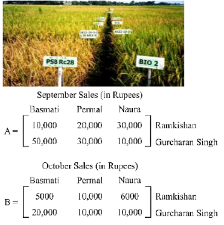 CBSE Class 12 Mathematics Case Study Studies