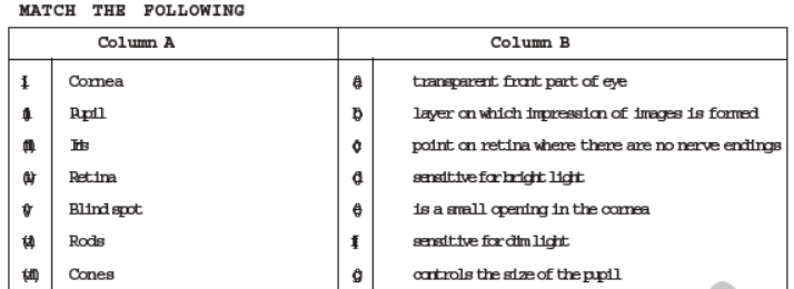 CBSE Class 8 Science Light Chapter Notes