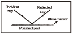 CBSE Class 8 Science Light Chapter Notes