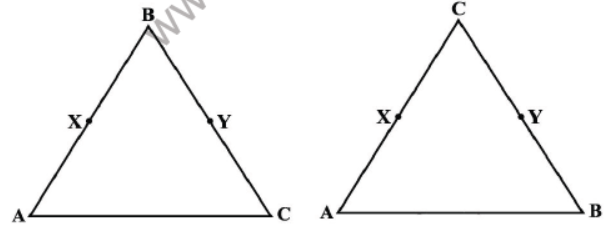 CBSE Class 9 Introduction to Euclids Geometry Sure Shot Questions