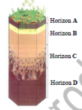 Class 8 Social Science Natural Resources Exam Notes