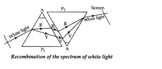 Class 10 Science Human Eyes And Colourful World_10