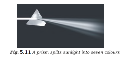 Class 7 Science Light Advanced Notes_6