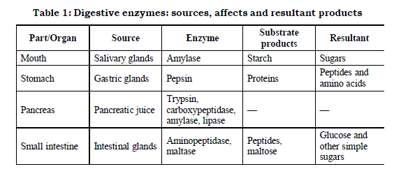 Class 7 Science Nutrition in Animals Advanced Notes_1