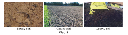 Class 7 Science Soil Advanced Notes_1