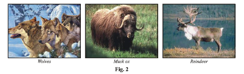 Class 7 Science Weather Climate Adaptations of Animals to Climate Notes