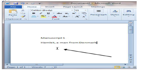 Class-5-Computer-Science-More-in-Word-Notes_4