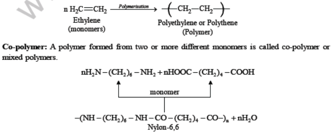 Class 7 Science Fibre to Fabric Chapter Notes