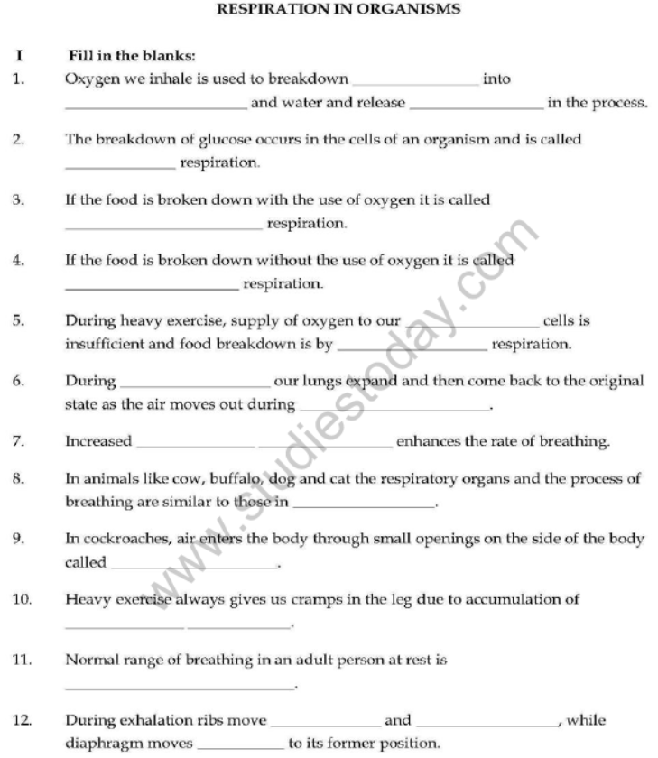 Class 7 Respiration in Organisms Important Questions VBQs