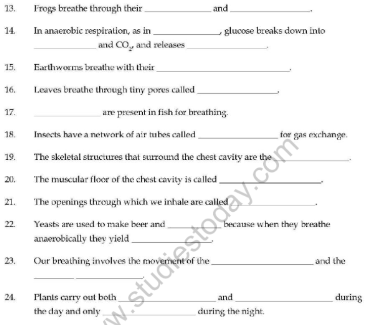 Class 7 Respiration in Organisms Important Questions VBQs