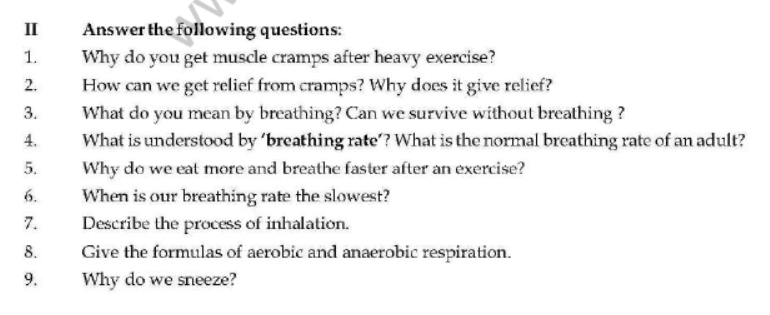 Class 7 Respiration in Organisms Important Questions VBQs