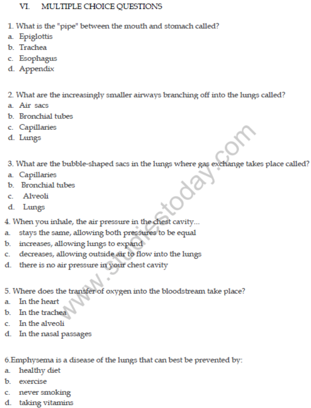 Class 7 Respiration in Organisms Important Questions VBQs