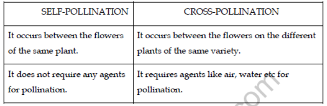 Class 7 Reproduction in Plants Notes for exams